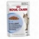 Royal Canin Ultra Light in Saus Kattenvoer