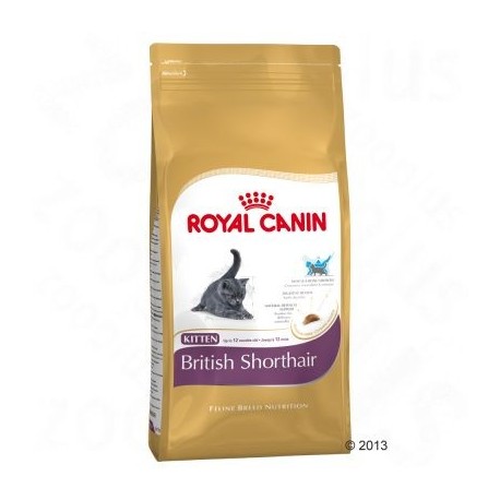 Royal Canin British Shorthair Kitten Kattenvoer