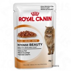 Royal Canin Intense Beauty in Gelei Kattenvoer