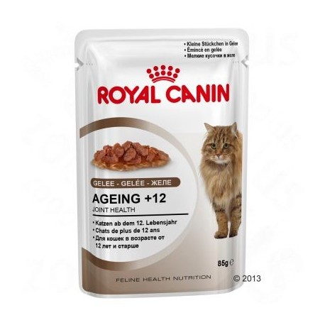 Royal Canin Ageing +12 in Gelei Kattenvoer