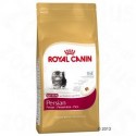 Royal Canin Persian Kitten Kattenvoer