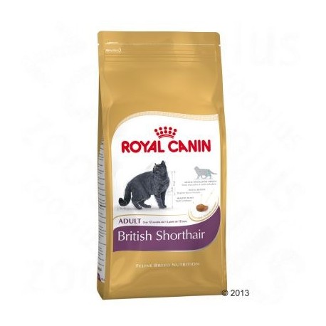 Royal Canin British Shorthair Adult Kattenvoer