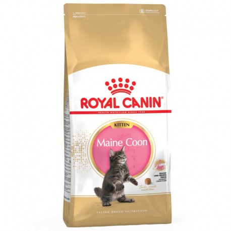 Royal Canin Maine Coon Kitten Kattenvoer