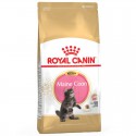 Royal Canin Maine Coon Kitten Kattenvoer