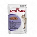 Royal Canin Digest Sensitive in Saus Kattenvoer