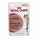 Royal Canin Instinctive in Saus Kattenvoer